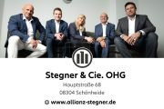 stegner Bild 1 Repräsentation